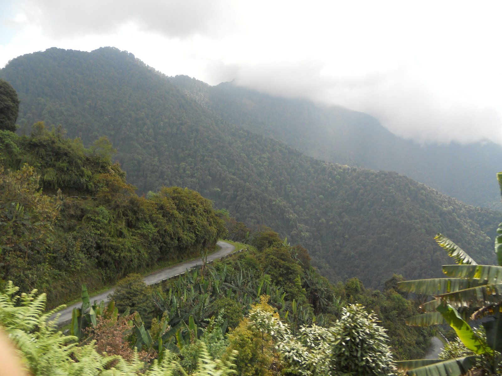 Arunachal